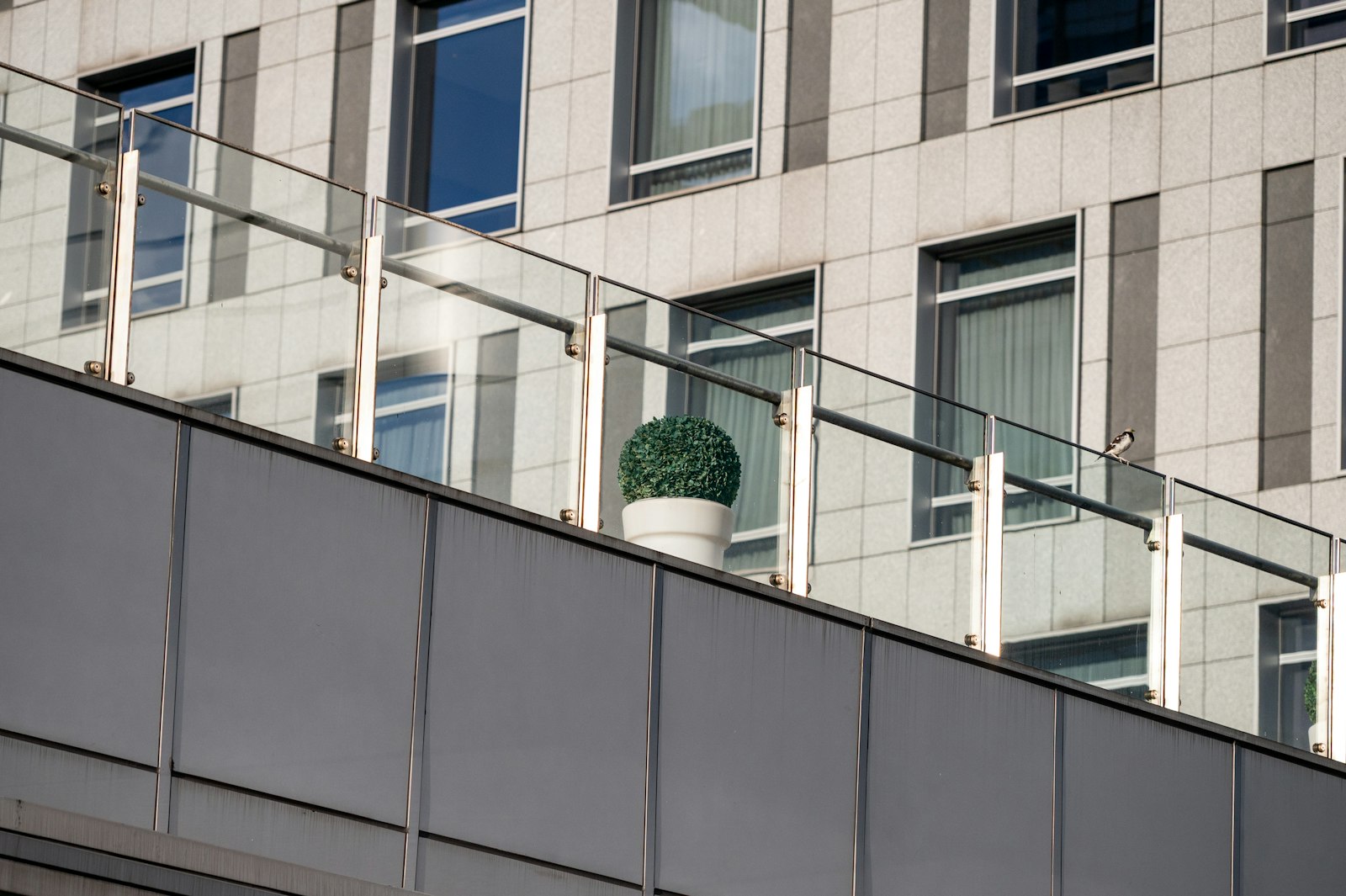 cut edge of toughened glass, light catching