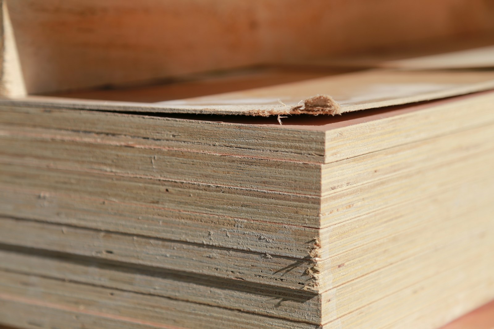 plywood core layers, end grain